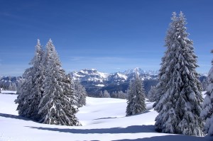 Semnoz-mars---2016-38